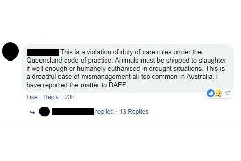 Unidentified Facebook comment saying they reported the photographed scenarios to DAFF