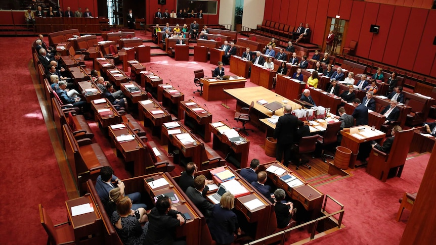 Aerial shot of politicians in the senate chamber