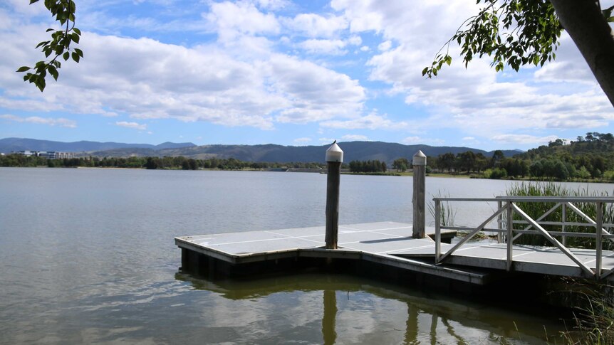 Water in Lake Tuggeranong appears green due to blue-green algae.