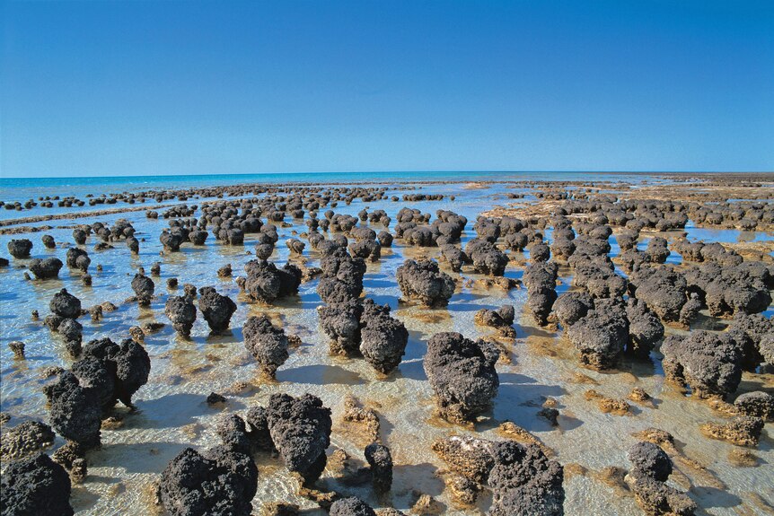 Rock formations in an ocean pool.