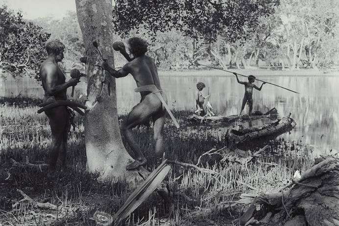 Greyscale image of Aboriginal men, nude using stone axes to cut a shield from a tree, a young girl and boy with a spear behind.