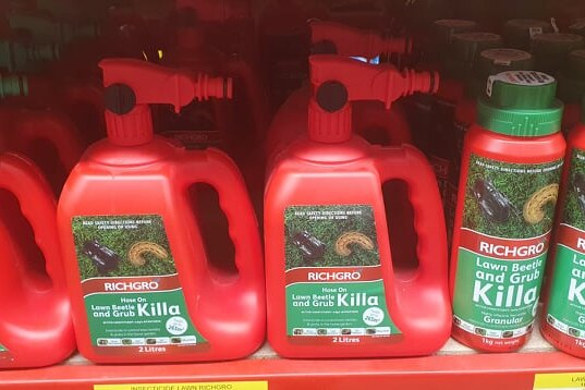 Several curl grub insecticides lined up on the shelf 