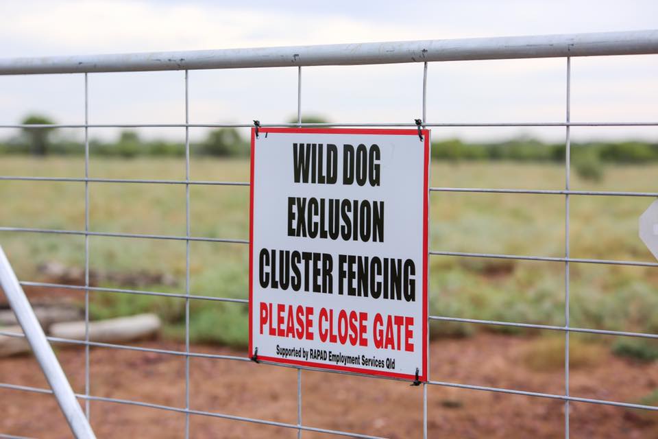 A gate with a sign attached saying "Wild Dog Exclusion Cluster Fencing, Please Close the Gate".