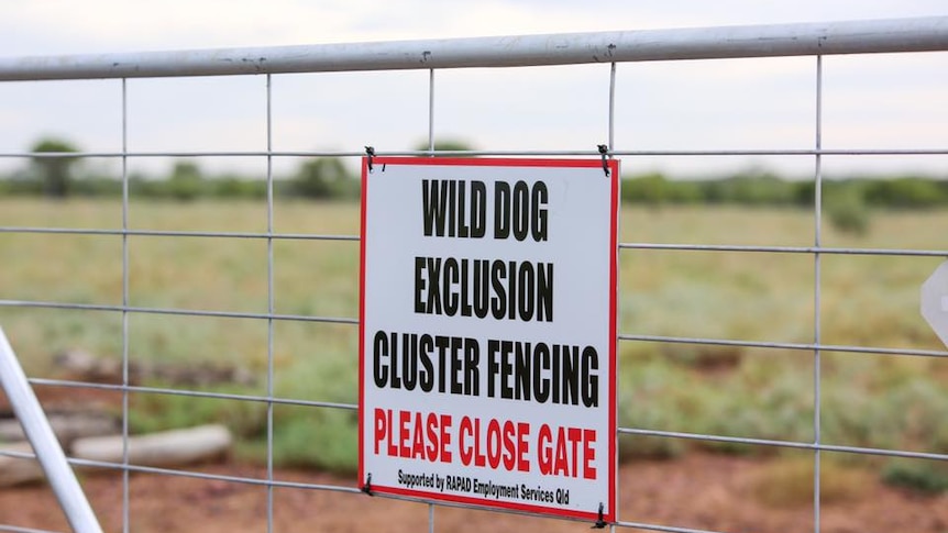 A gate with a sign attached saying "Wild Dog Exclusion Cluster Fencing, Please Close the Gate".