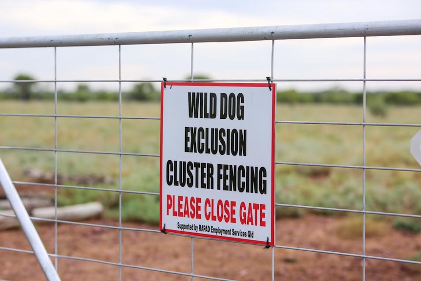 A gate with a sign attached saying "Wild Dog Exclusion Cluster Fencing, Please Close the Gate".