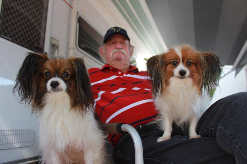 Papillon dogs Dillan and Sparkles sit in the foreground while their owner Darryl Fraser watches on