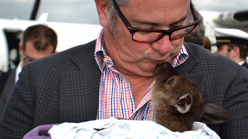 SA Tourism Minister Leon Bignell kisses a kangaroo