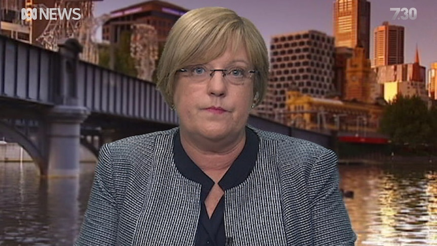 Victoria's Police Minister Lisa Neville hits back at Prime Minister Malcolm Turnbull over his comments about gang violence.