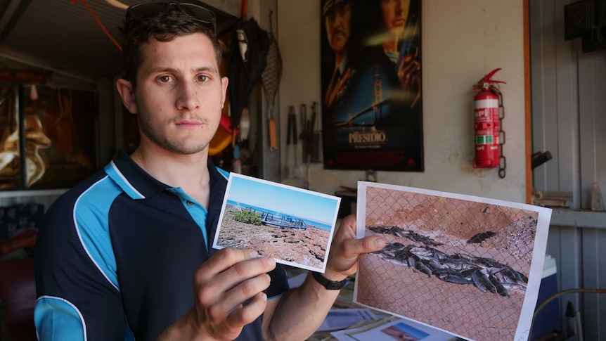 A man stands in a fish shack holding photos of dead fish and nets.