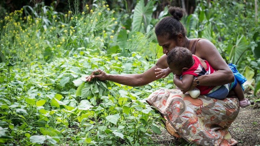 Mother and baby pick leafy vegetables in the rural Efate island in Vanuatu.
