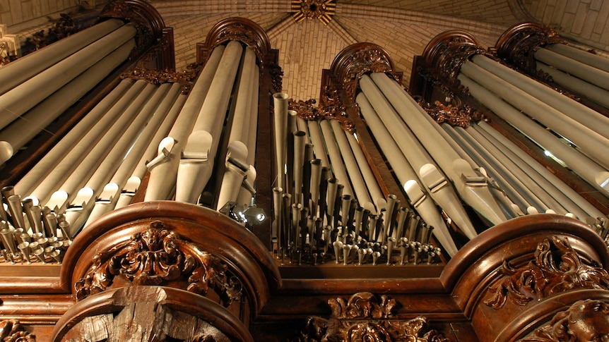 An upside photo of the pipes of an organ in a cathedral.