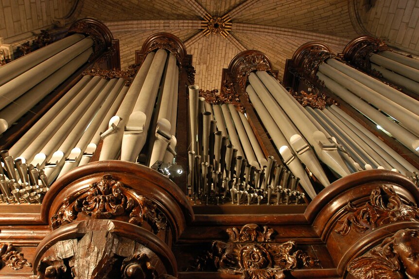 An upside photo of the pipes of an organ in a cathedral.
