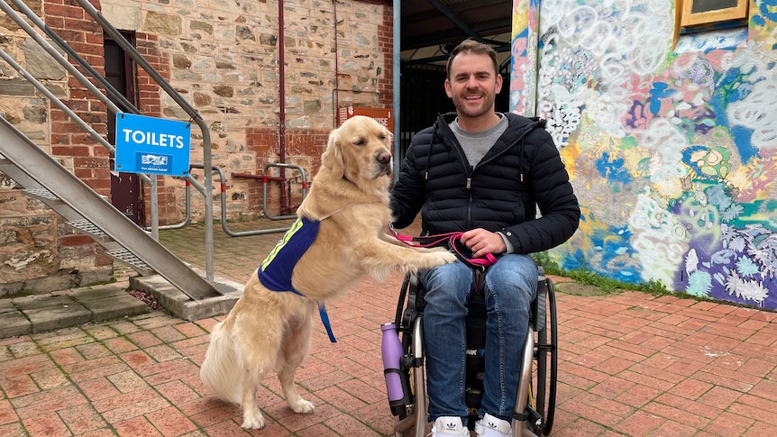 A man in a wheelchair with his service dog standing with its paws on his lap