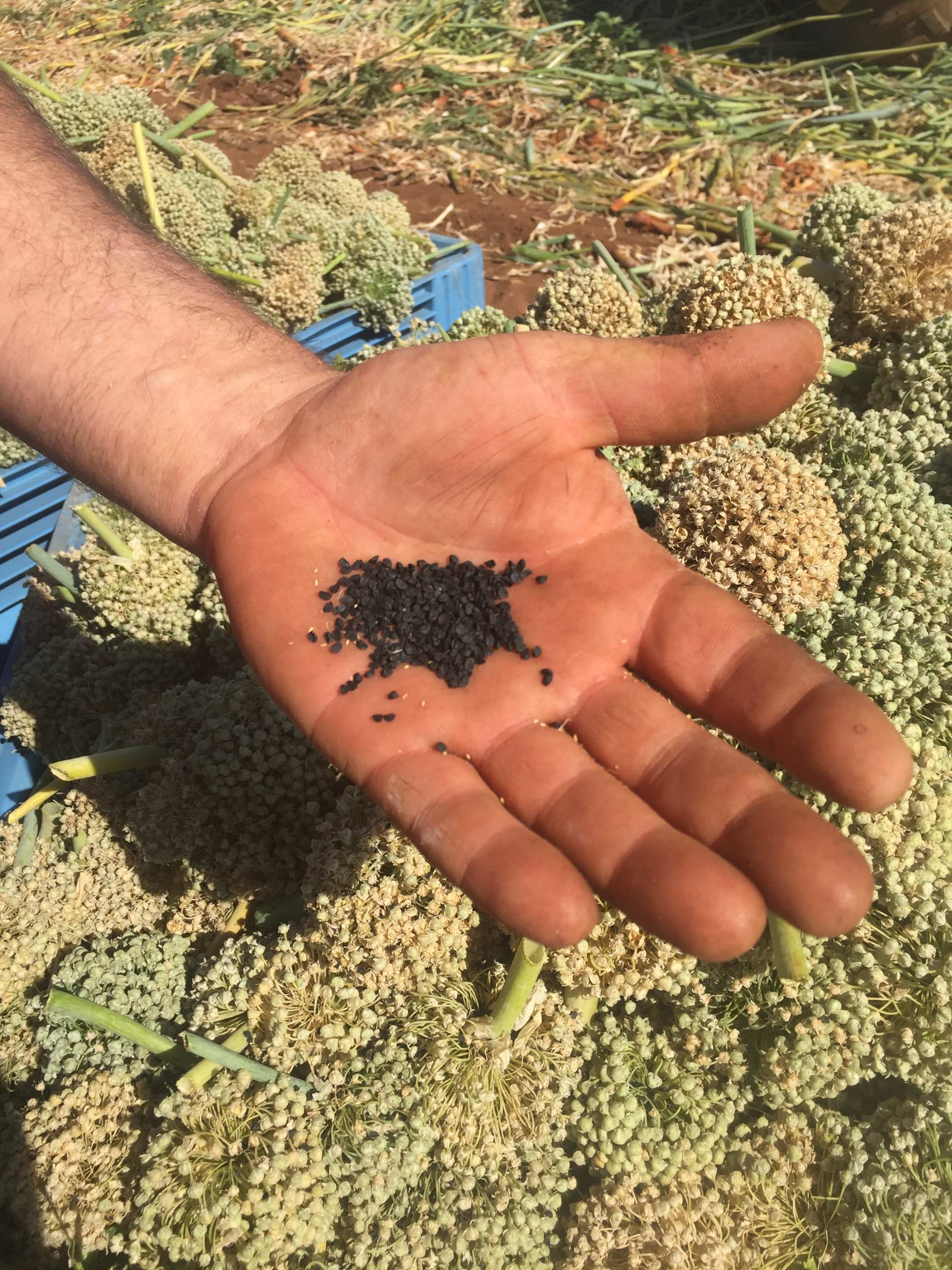 Rural Reporter February 20, 2016 - ABC listen