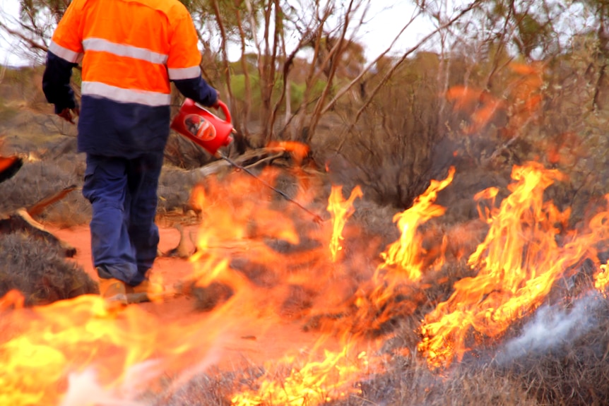 A ranger is pictured from behind, as flames leap into the shot