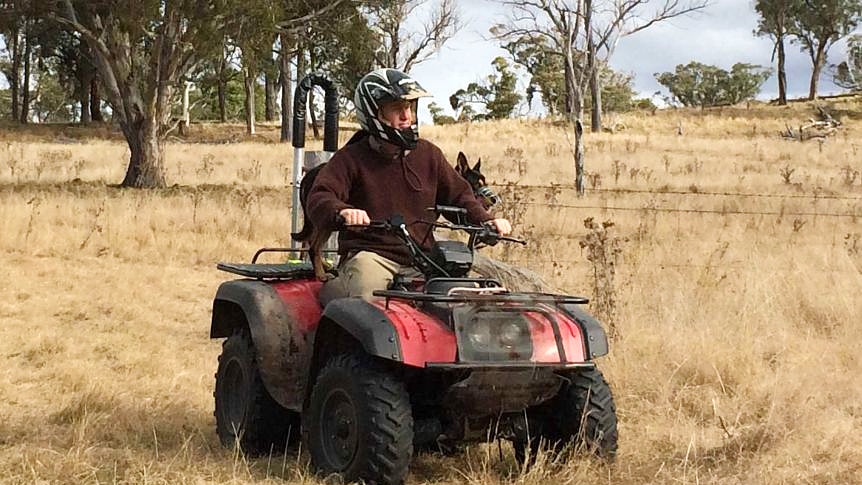 A farmer, wearing a helmet, rides a quad bike with his dog on the back