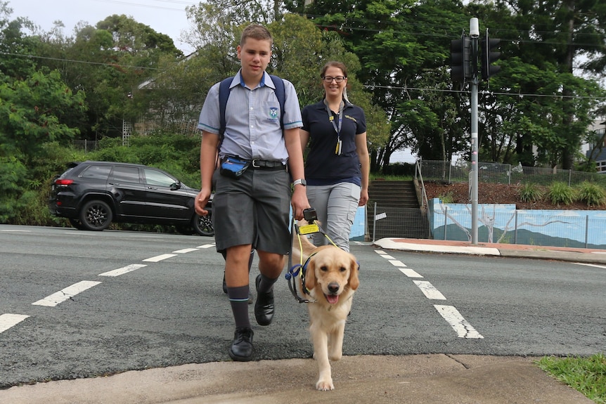 Sadie and Oliver crossing the road.