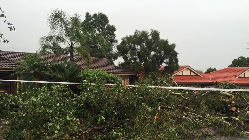 In Sydney's west a wild storm created havoc on Thursday January 14 2016.