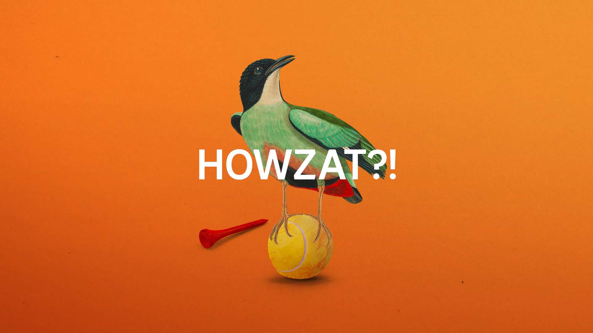 Howzat?!