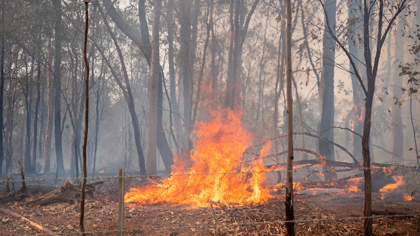 Fire in Ewingar