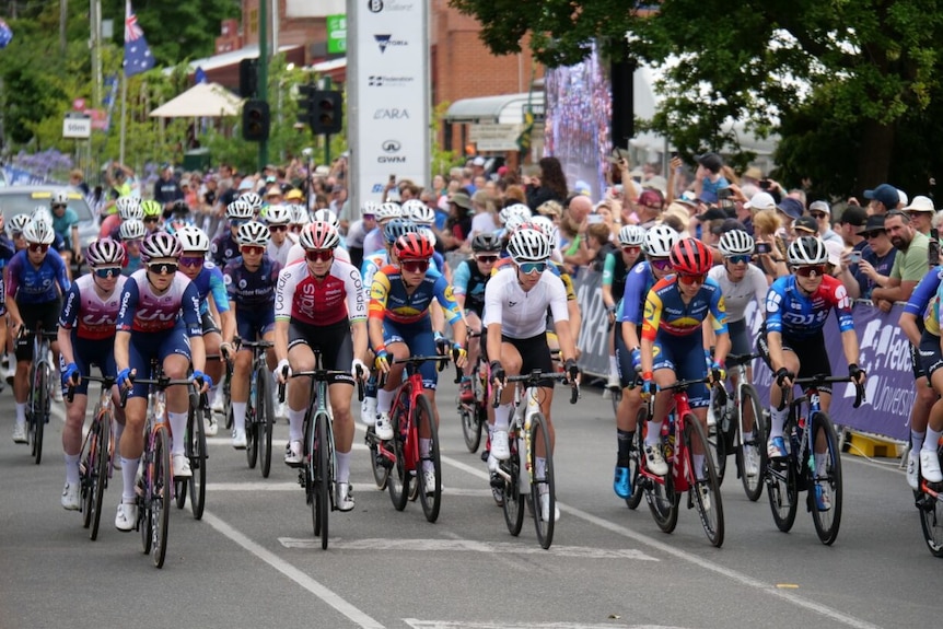 A group of cyclists in a road race, crowds watch on from the sidelines. 