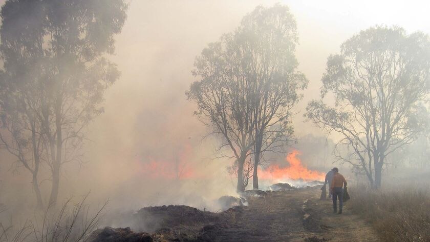 The fire has been burning in the Mount Archer area for 11 days.