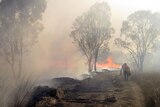 Nerimbera property owner Jeff Stenhouse fights a bushfire near Rockhampton.