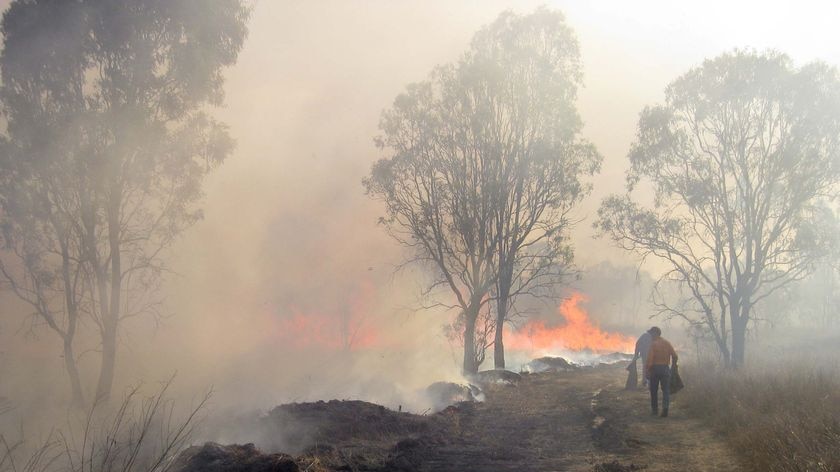 Nerimbera property owner Jeff Stenhouse fights a bushfire near Rockhampton.