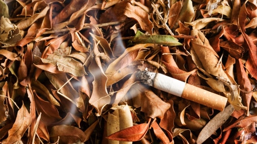 lit cigarette butt in dry leaves