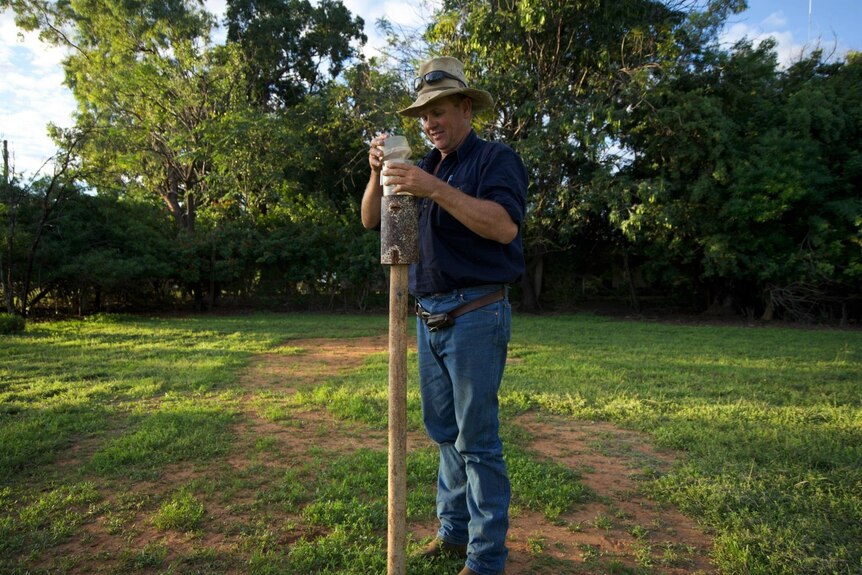 Man checking rain guage with grass in background