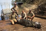 Four rangers with a tied-up crocodile on a boat ramp