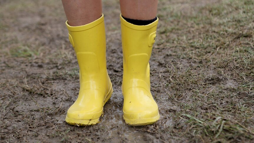 Yellow gumboots in the mud.