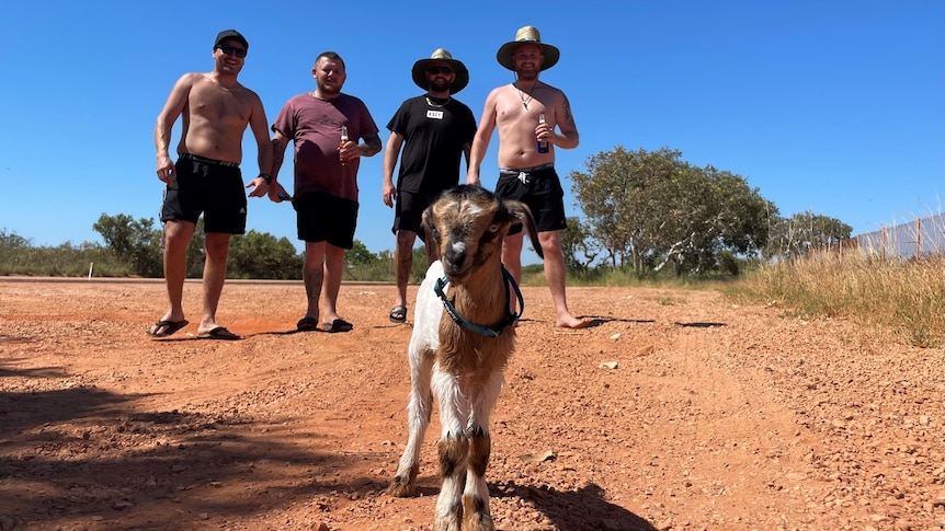 goat and men standing in distance 