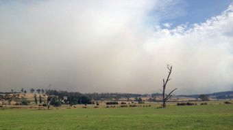 Smoke near Mole Creek