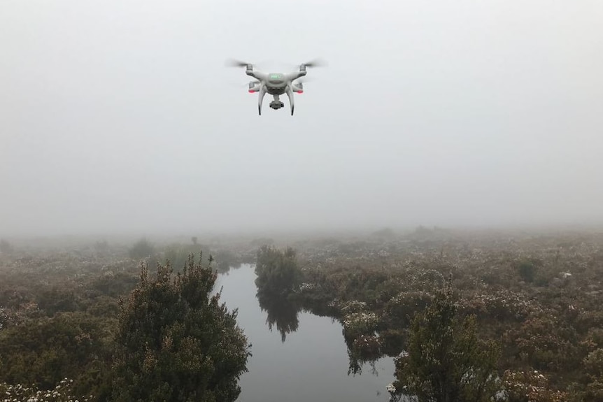 Drone filming in Tasmanian wilderness, for Max Moller's Black Devil films.