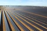 Nyngan solar plant