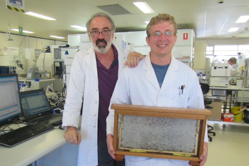 The two scientists in their honey lab holding a full frame of honey.