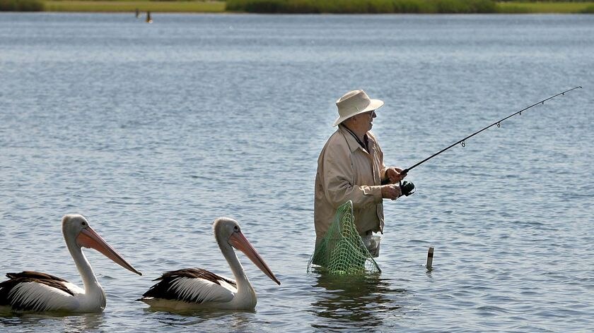 A retiree tries his luck fishing in the estuary waters of Narrabeen lakes north of Sydney