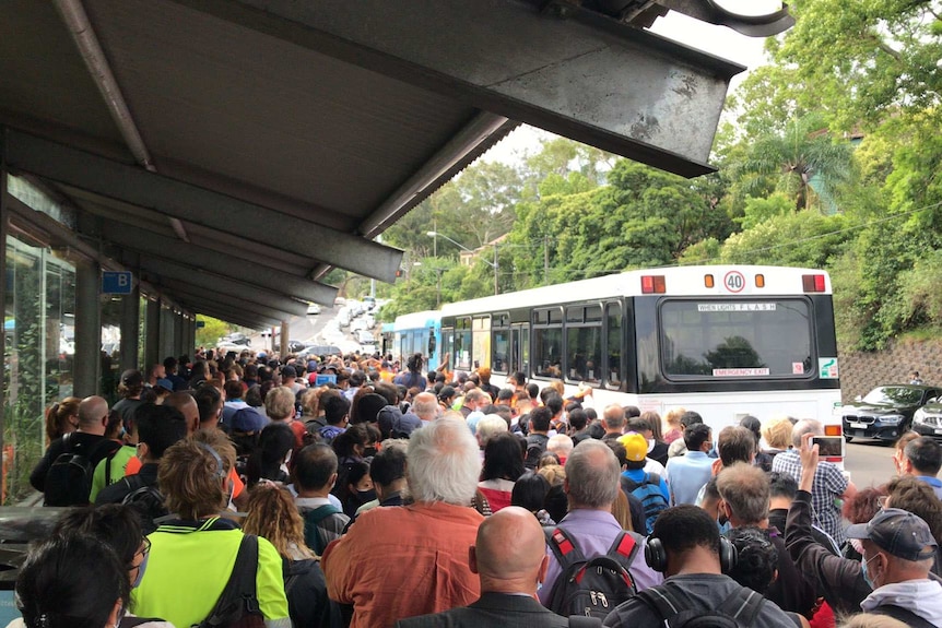 Lots of people standing shoulder to shoulder in front of a bus