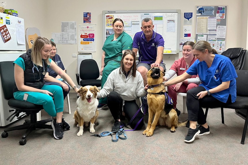 A group shot of hospital staff wearing scrubs with two therapy dogs.