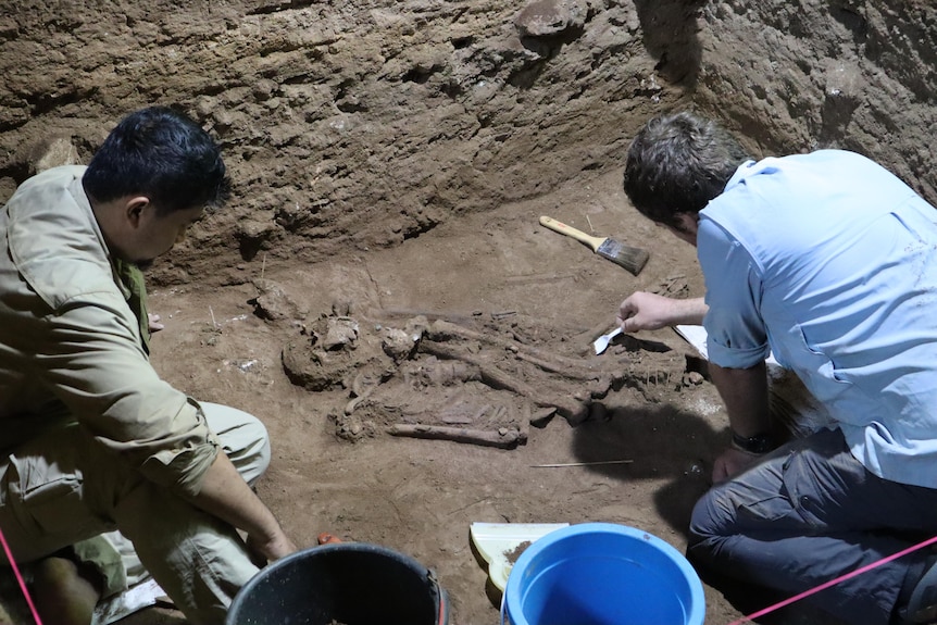 A partially skeleton being uncovered by two men