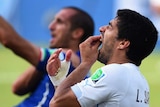 Suarez gestures after apparent bite on Chiellini