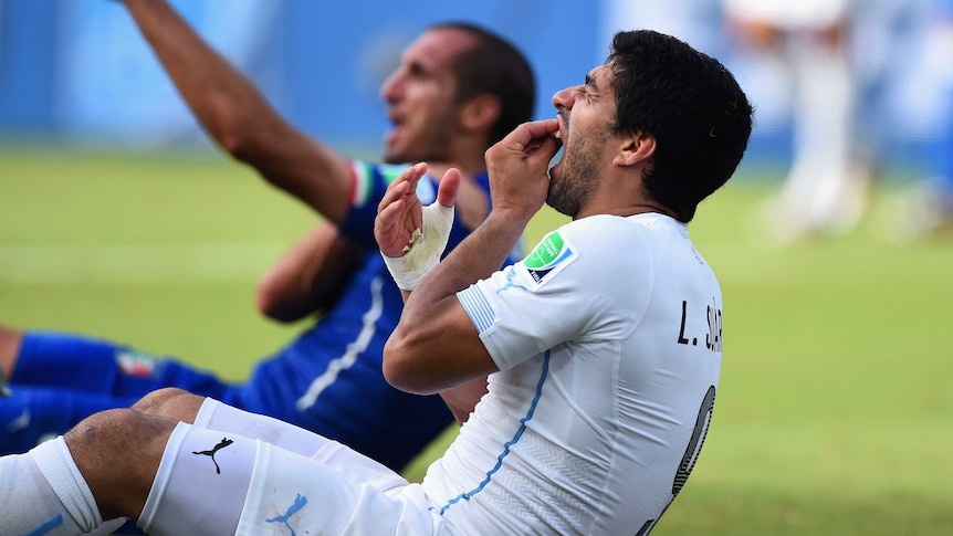 Uruguay's Luis Suarez and Italy's Giorgio Chiellini react after a biting incident at the World Cup.