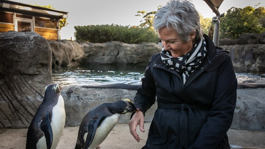 Erna Walraven sits on a wall with two Fiordland penguins.