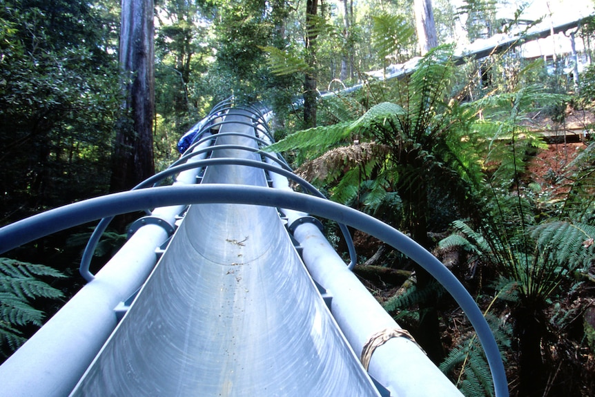 A winding metal slide twists through lush Australian bushland.