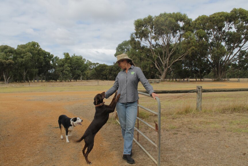 Woman in jeans, a shirt and wide-brimmed hat leans against fence as a large black dog jumps up at her in a friendly way.
