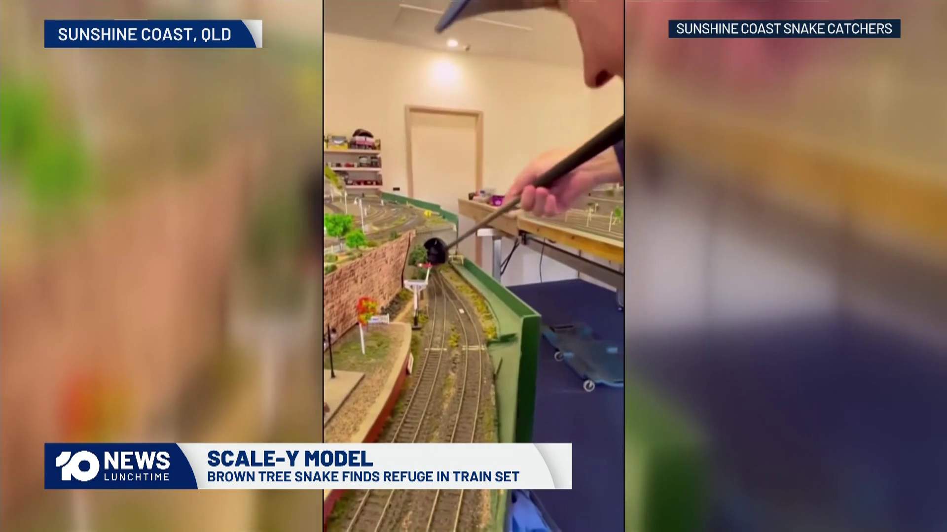 Snakes on a train - Media Watch