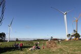 Wind farm picnic
