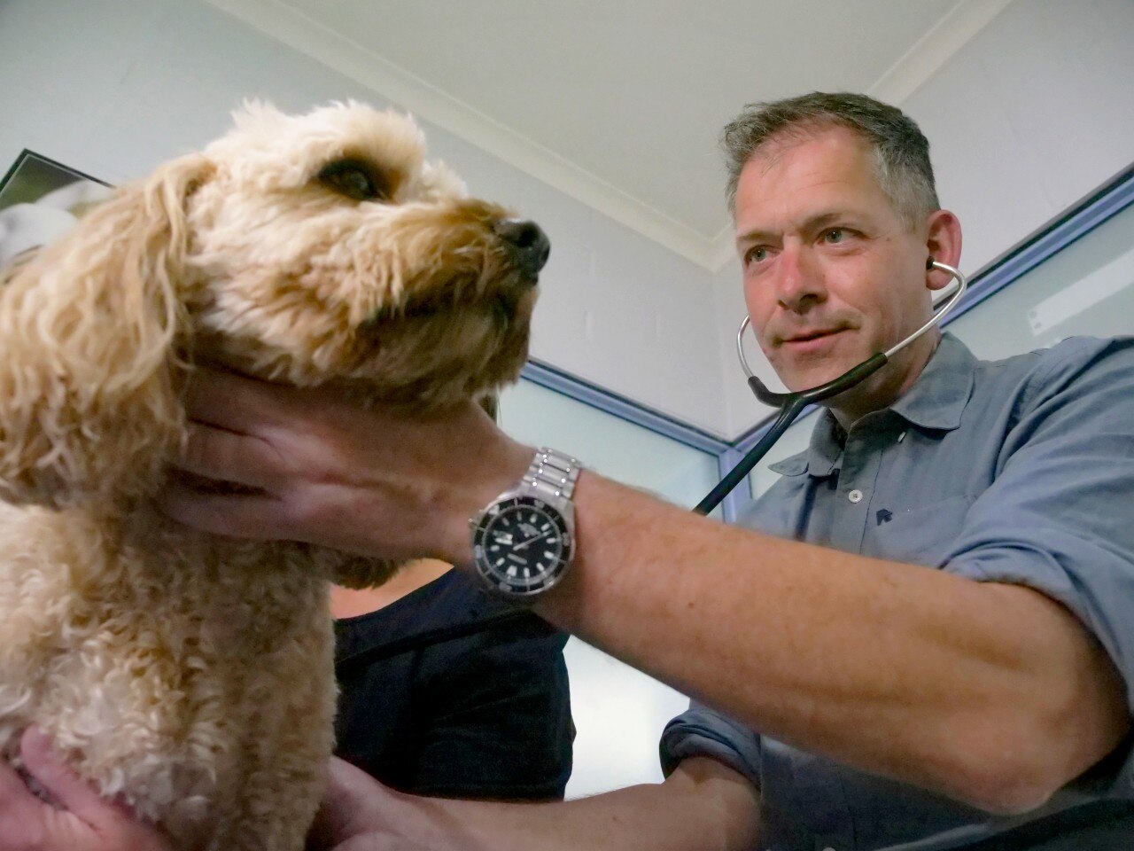 madeleine-rojahn-abc-news