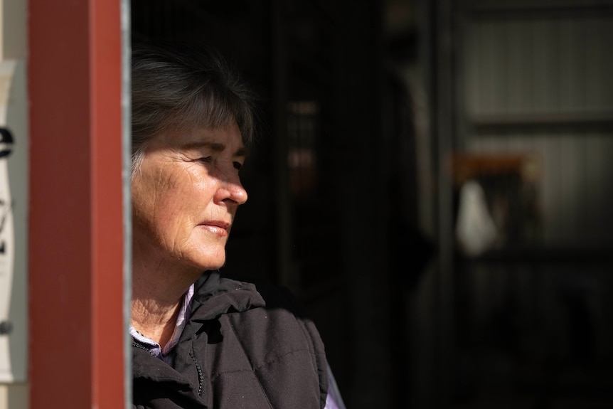 A woman half in shadow looks out from a stable.